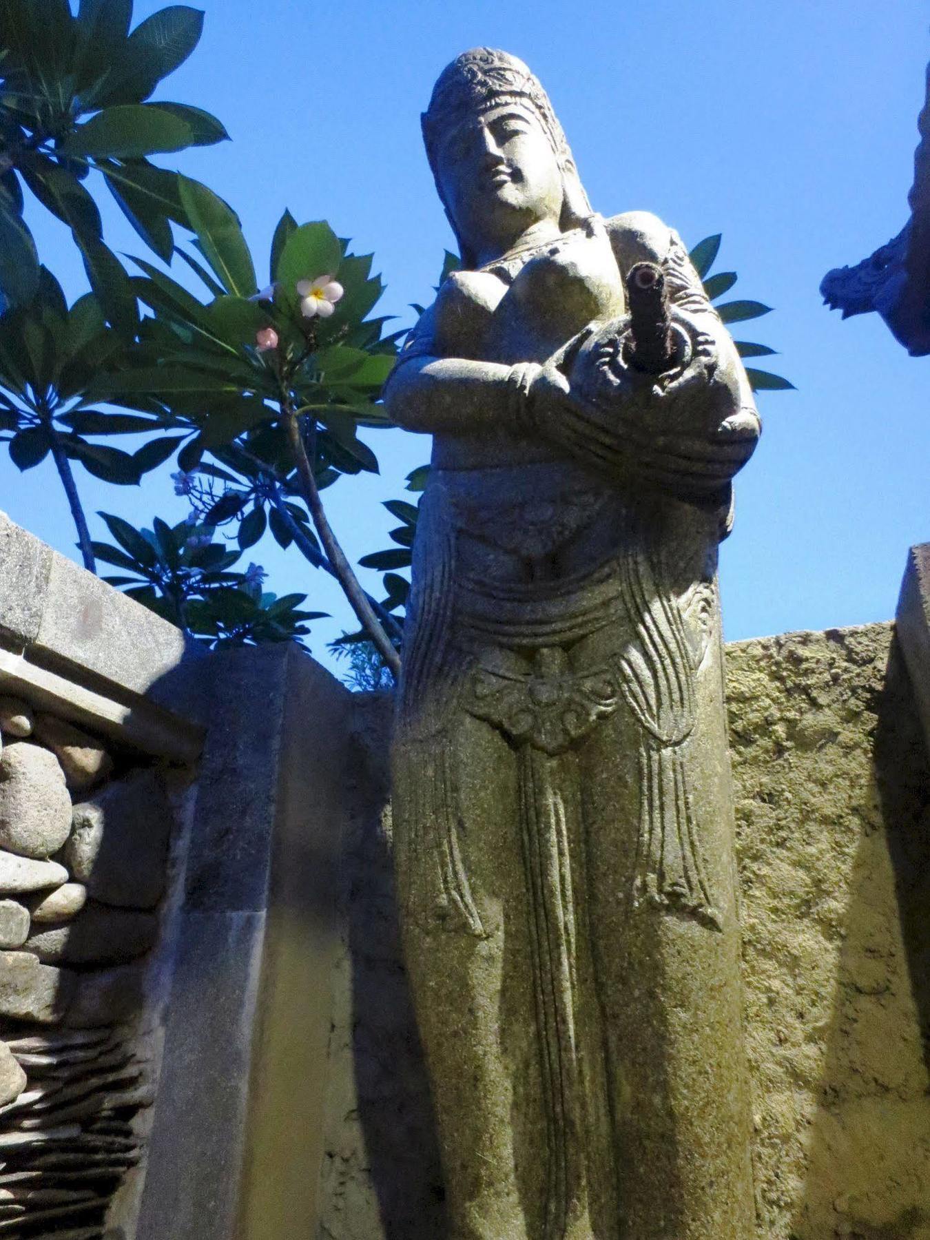 Taruna Boutique & Wisma tamu Pemuteran (Bali)